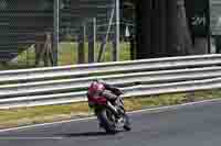 Advanced Group Red Bikes